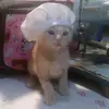 Carla Benefield - @carlabenefield_9683 - TikTok