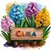 Carla Bernardo Carla - Facebook