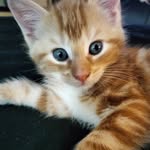 Carla Biggs - @carla.biggs.12 - Instagram