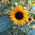 Karla Bolinger - Facebook