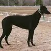 carlabryan4 - @carlabryan4 - TikTok