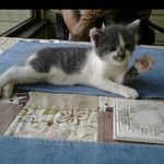 Carla Burke - @angelsover - Instagram