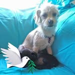 Carla Burton - @carlalburton62 - Instagram