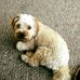 Carla Cameron - Facebook