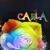 Carla Castle - Facebook