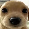 carlachu - @carlalalarva - TikTok