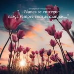 Carla Collares - @carlacollares29 - Instagram