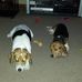 Carla Compton Nunnally - Facebook