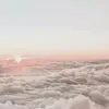 Carla - @carla.cones - TikTok