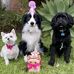 Carly Constable - Facebook