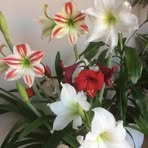 Carla Corna - Facebook