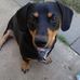 Carla Covert - Facebook