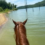 Carla Cundiff - @focusmoneylifemastery - Instagram
