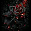 carladaugherty240 - @carladaugherty240 - TikTok