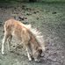 Carla Engler - Facebook
