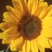 Carla Farias - Facebook