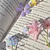 It‘s an old account - @carlafee_08 - TikTok