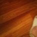 Carla Forehand - Facebook