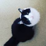 carla deforest - @deforestcarla - Instagram
