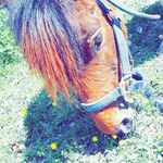 carla.forest - @carla212006 - Instagram