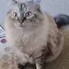 Carla Freeman245 & pearl - @carlafreeman245 - TikTok