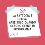 Carla Freese - @freese5981 - Instagram