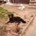 Carla Freund - Facebook