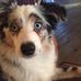 Carla Friedrich Marek - Facebook