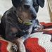 Carla Fulk - Facebook