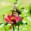 Carla Funk - @carlafunkphotography - TikTok