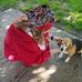 Carla Gable - Facebook