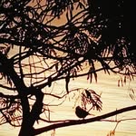 Carla Galaz - @galaz_carla - Instagram