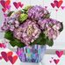 Carla Galloway - Facebook