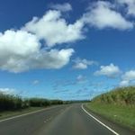 Carla Goetz - @goetz.carla - Instagram