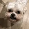 Carla - @carla.gorman - TikTok