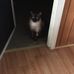 Carla M Hamrick - Facebook