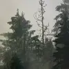 Carla head - @carla.head2 - TikTok