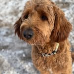 Carla Heller - @carlaheller43 - Instagram