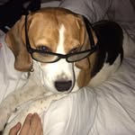 Carla Higgins - @carla.higgins.524 - Instagram