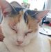 Carla Honess - Facebook