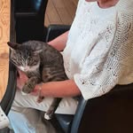 Carla Huberts - @hubertscarla - Instagram