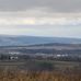 Carla Ingram - Facebook