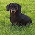 Carla Johns - Facebook
