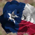 Carla Heiskell Judd - @txtechgirl93 - Instagram