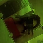 mari - @car.lajunco - Instagram