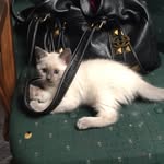 Carla Kasper - @ckasper6308 - Instagram