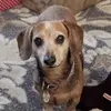 Carla T Keeter - @user6820887882645 - TikTok