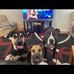 Carla Kellogg - Facebook