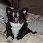 @carla_kenney63 - Instagram