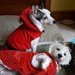 Carly Kirkpatrick - @storm_bringer13 - Instagram